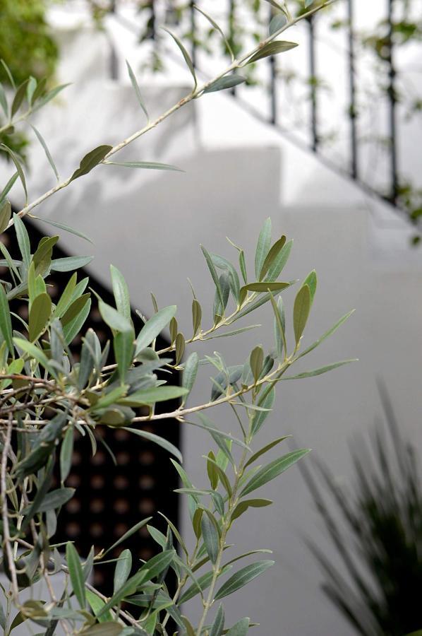 Casa De Los Olivos سان ميغيل دي الليندي المظهر الخارجي الصورة
